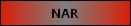 Visit the National Association of Rocketry website.