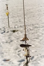Click on Thumbnail to View Image